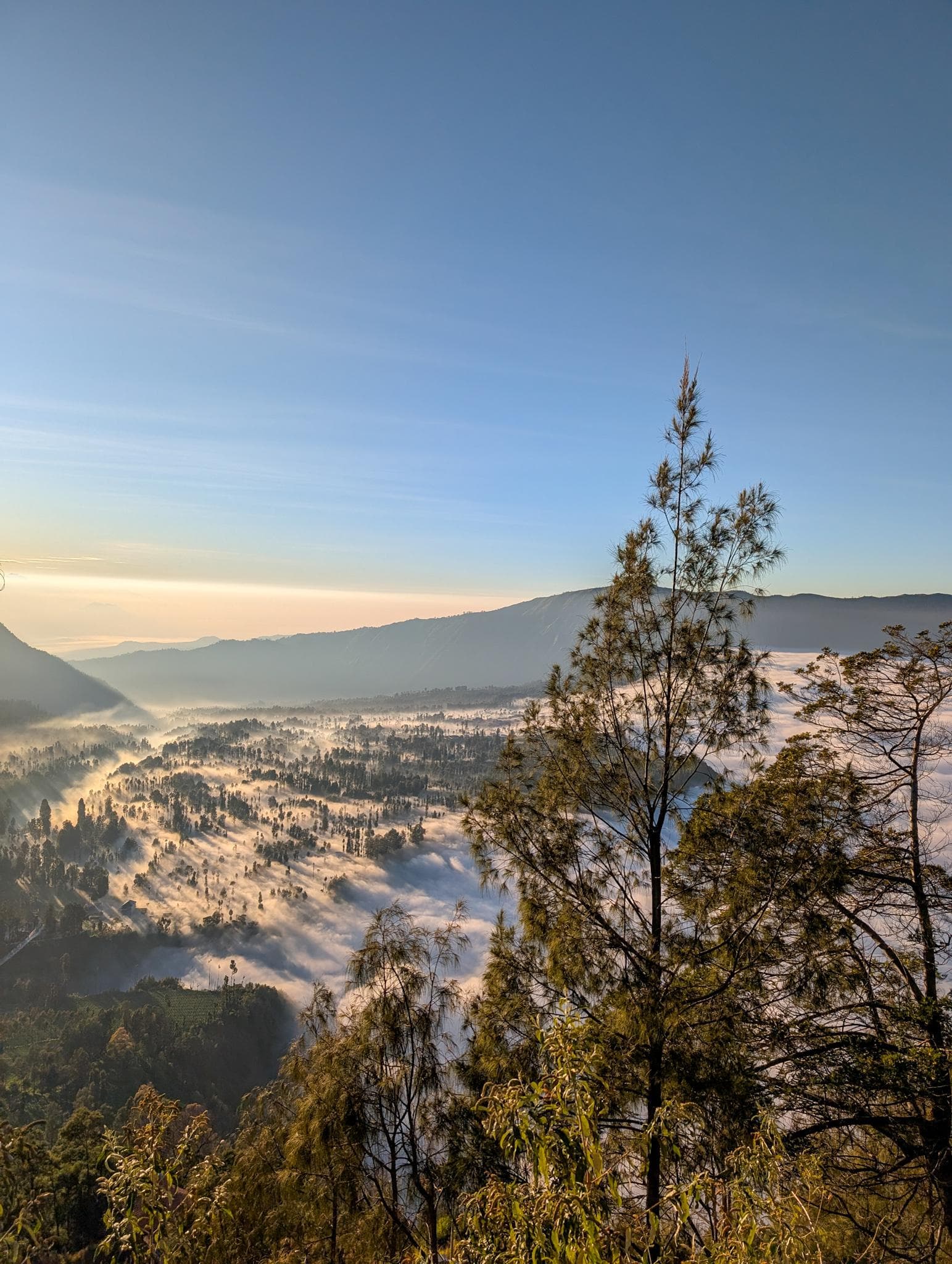 Bromo Sunrise Veil